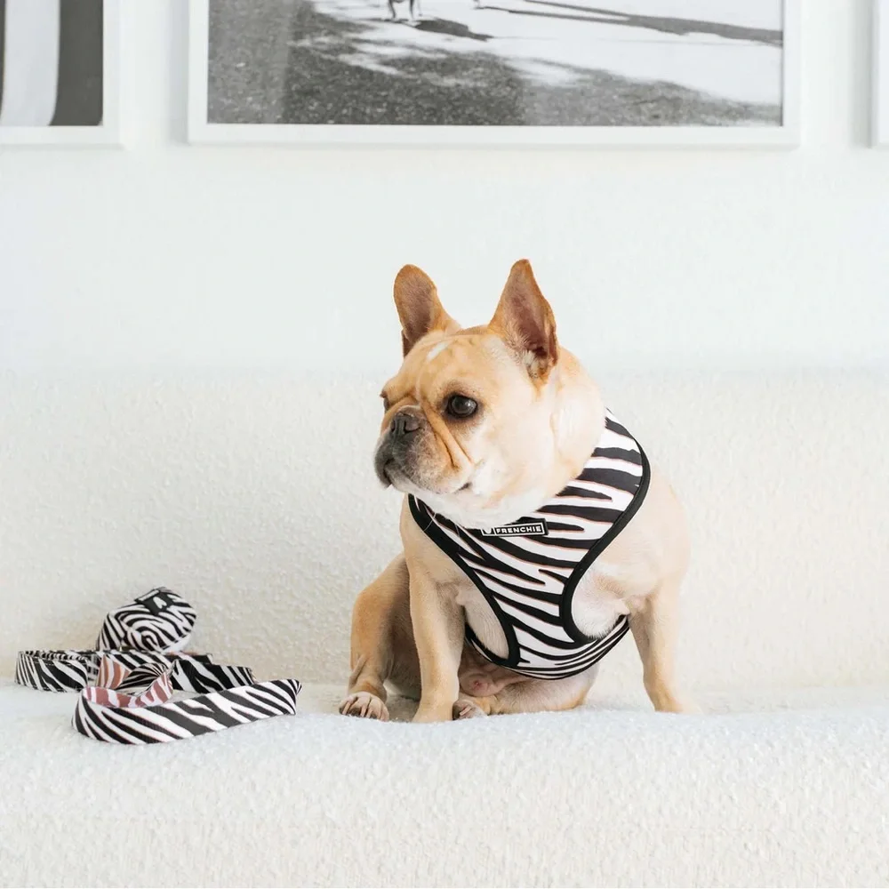Frenchie Bulldog Duo Reversable Zebra Dog Harness/Leash/Bag Holder/Collar Set